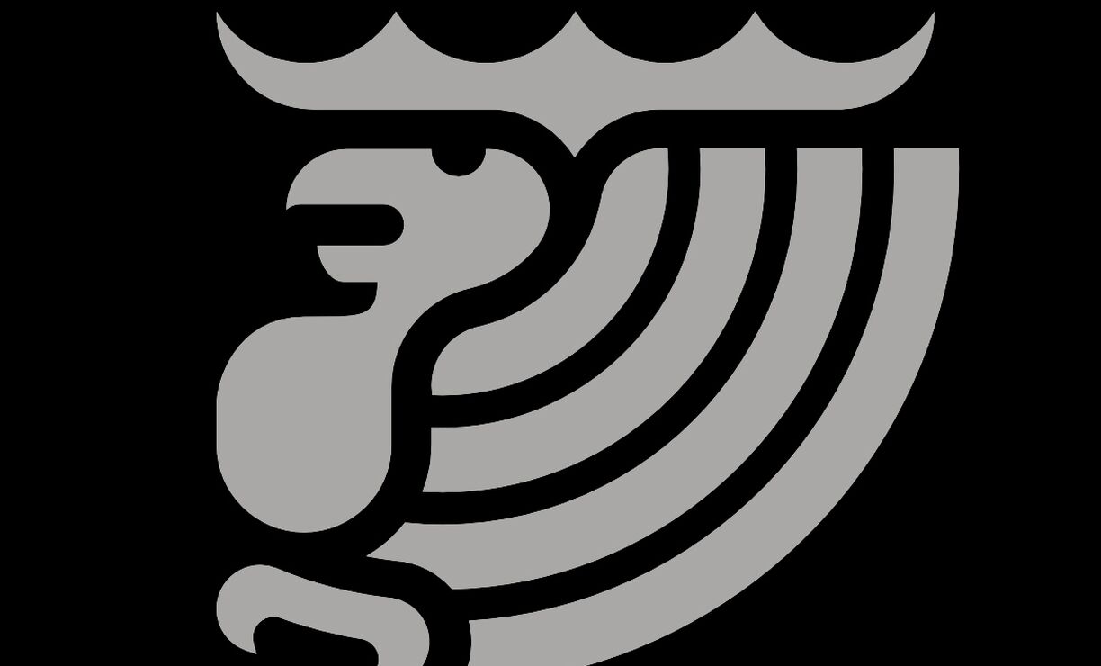 Pozvánka na řádnou valnou hromadu společnosti Amplla a.s. - 2026